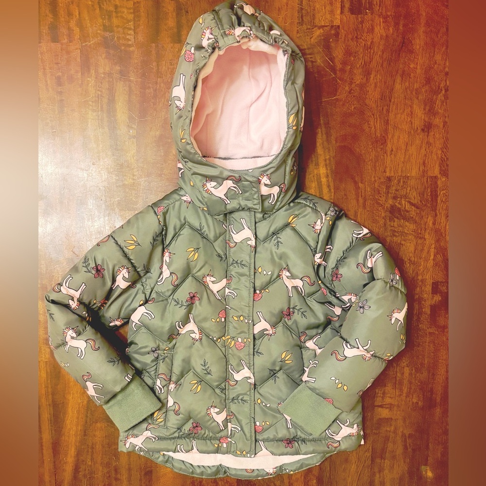 Girl Toddler Fall/Winter Jacket 3T